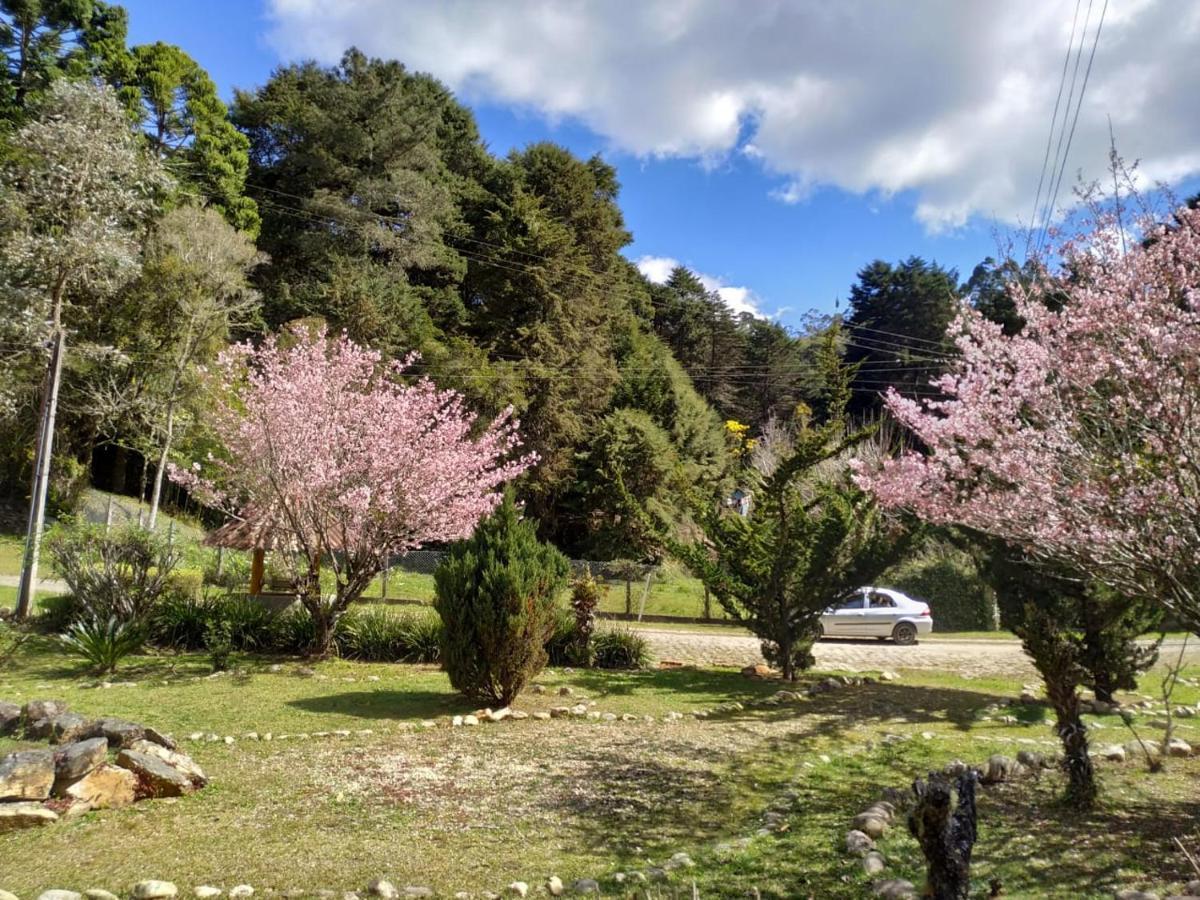 Campos do Jordão Colonia Saa酒店 外观 照片
