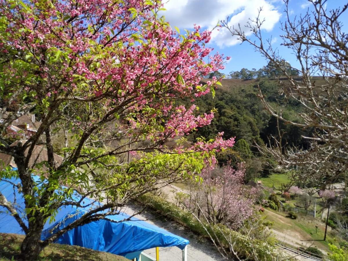 Campos do Jordão Colonia Saa酒店 外观 照片
